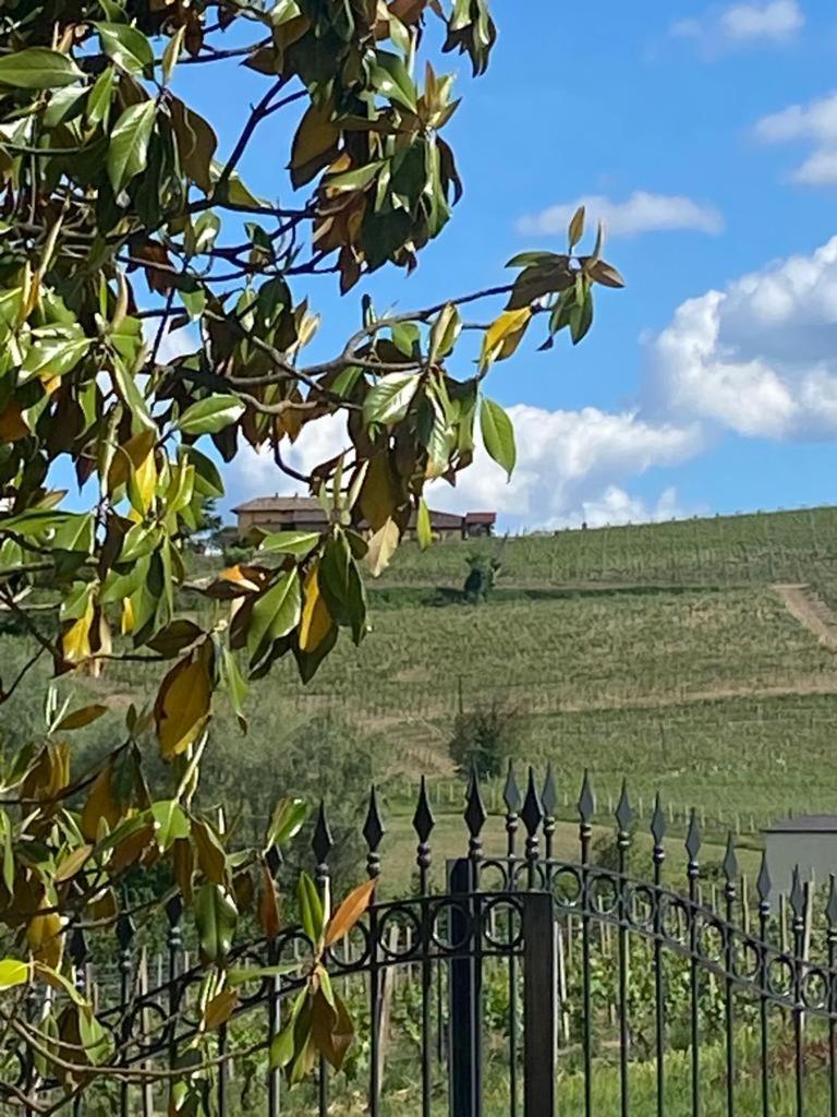 אליאנו טרמה Piemonte Country House מראה חיצוני תמונה